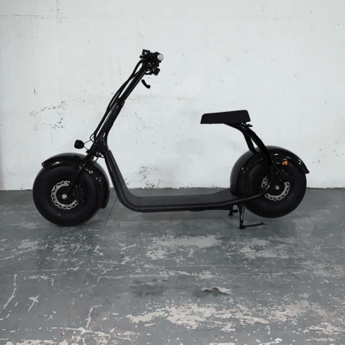 FATMAN Scooter | Custom Coco | Lateral view